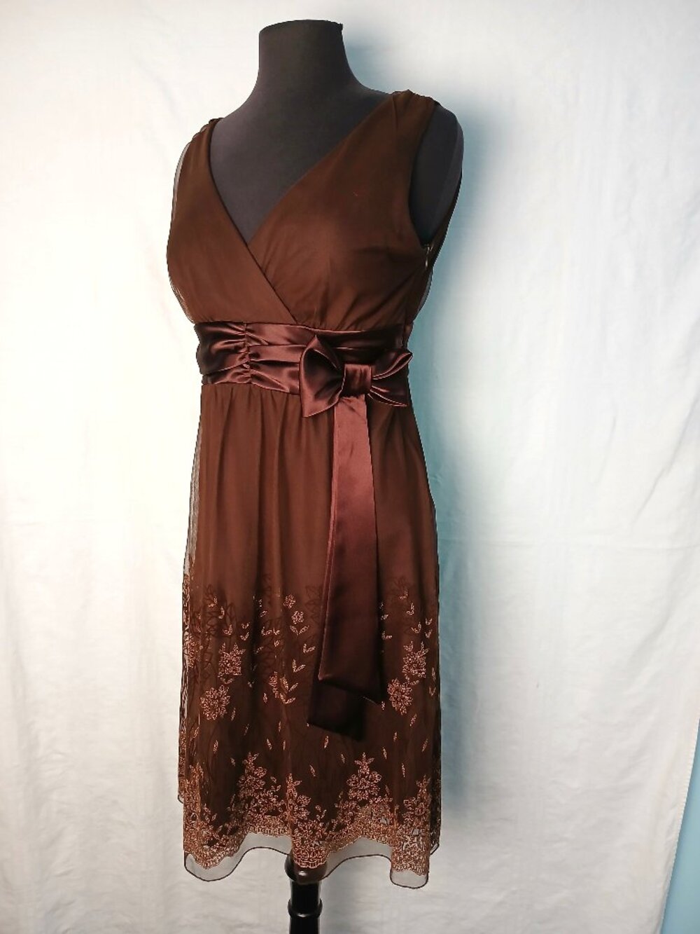 Brown Sheer Dress w Delicate Sparkly Border Print on skirt